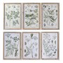 Quadro DKD Home Decor Abete Cristallo Piante botaniche (6 Unità) (40 x 2 x 60 cm)