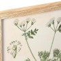 Quadro DKD Home Decor Abete Cristallo Piante botaniche (6 Unità) (40 x 2 x 60 cm)