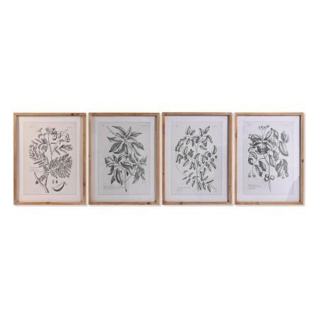 Quadro DKD Home Decor Abete Cristallo Piante botaniche (50 x 65 x 2 cm) (4 Unità)