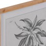 Quadro DKD Home Decor Abete Cristallo Piante botaniche (50 x 65 x 2 cm) (4 Unità)