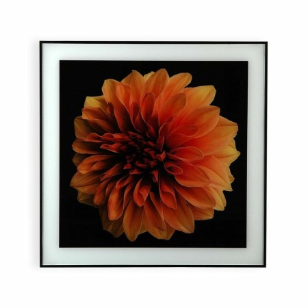 Quadro Versa S3407693 Fiore Cristallo polistirene (2 x 60 x 40 cm)