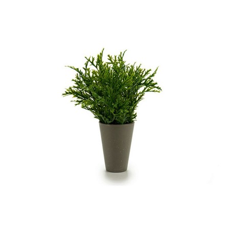 Vaso ‎S3602946 Verde Plastica (13 x 25 x 13 cm)