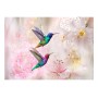 Carta da parati - Colourful Hummingbirds (Pink)