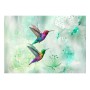 Carta da parati - Colourful Hummingbirds (Green)