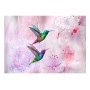 Carta da parati - Colourful Hummingbirds (Purple)