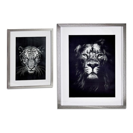 Quadro Lion - Tiger (43 x 3 x 53 cm)