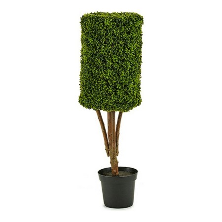 Pianta Decorativa Hedge Plastica