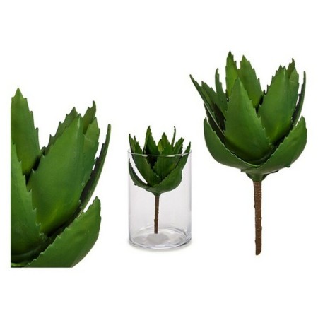 Pianta Decorativa Aloe Vera (14 x 23 x 14 cm)