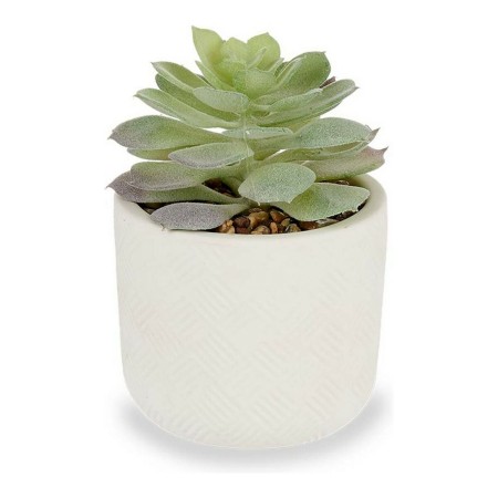 Pianta Decorativa Bianco Plastica (14 x 9 x 14 cm)