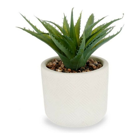 Pianta Decorativa Bianco Plastica (14 x 9 x 14 cm)