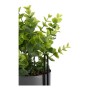 Pianta Decorativa Grigio Eucalipto Con supporto Metallo Plastica (13 x 40 x 13 cm)