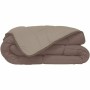 Piumino Poyet Motte Beige Marrone 200 g/m² (240 x 260 cm)