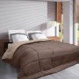 Piumino Poyet Motte Beige Marrone 200 g/m² (240 x 260 cm)