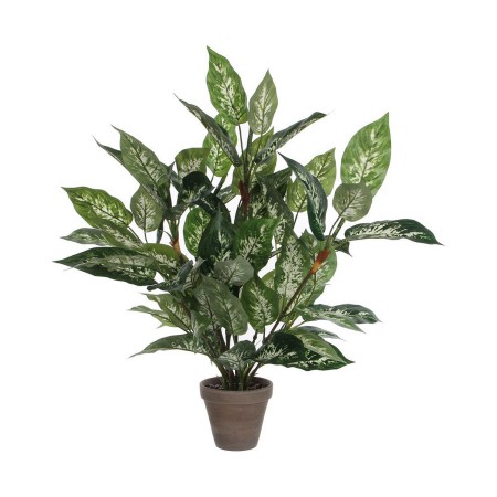 Pianta Decorativa Mica Decorations Dieffenbachia Dieffenbachia Verde PVC (15,7 x 70 cm)