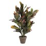 Pianta Decorativa Mica Decorations Croton Verde PVC (73 x 40 cm)