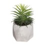 Pianta Decorativa Atmosphera 7 x 14 cm PVC