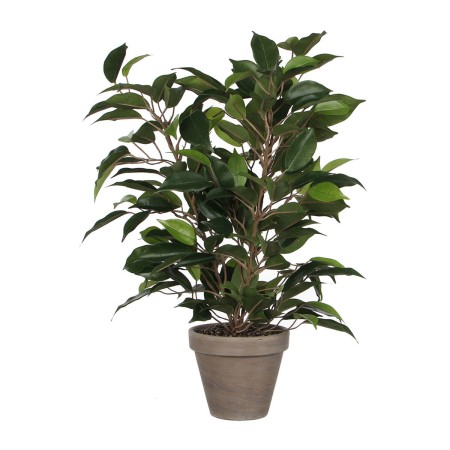 Pianta Decorativa Mica Decorations 40 x 30 cm Ceramica PVC Ficus