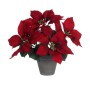 Pianta Decorativa Mica Decorations Rosso PVC