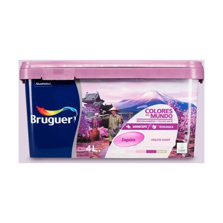 Pittura Bruguer Japon 4 L Viola tenue