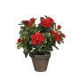 Pianta Decorativa Mica Decorations 11,5 x 27 x 20 cm Azalea