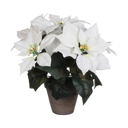 Pianta Decorativa Bianco PVC (27 X 35 CM)