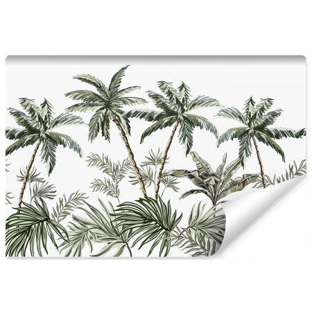 Carta Da Parati Palme E Piante Tropicali- Dimensione: 315x210 cm