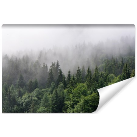 Carta Da Parati Alberi Nella Nebbia- Dimensione: 300x210 cm