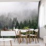 Carta Da Parati Alberi Nella Nebbia- Dimensione: 360x240 cm