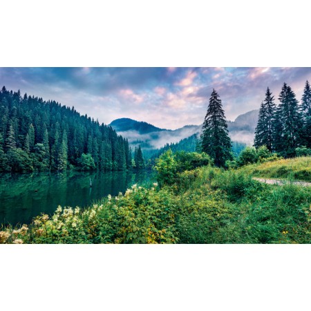 Carta Da Parati Dramatic Morning Scene Of Lacu Rosu Lake. Misty Summer Sunrise In Harghita County, Romania, Europe. Beauty Of Na