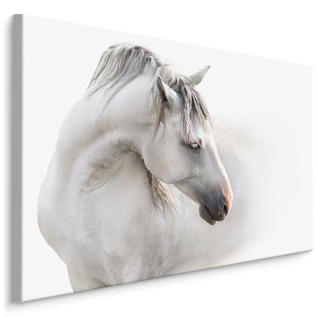 Pittura su tela Un Cavallo Bianco Nella Nebbia- Dimensione: 100x70 cm