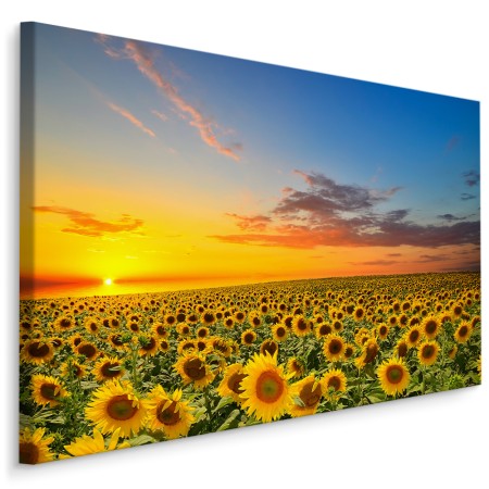 Pittura su tela Tramonto Su Un Campo Di Girasoli- Dimensione: 90x60 cm