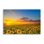 Pittura su tela Tramonto Su Un Campo Di Girasoli- Dimensione: 90x60 cm