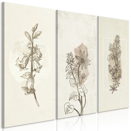 Quadro - Herbarium (3 Parts)