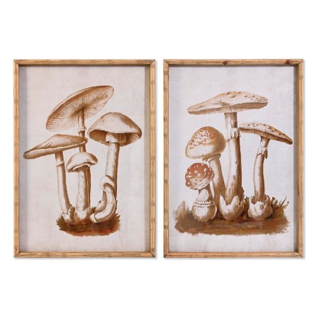 Quadro DKD Home Decor Cristallo Bambù Funghi (50 x 70 x 2,8 cm) (2 Unità)