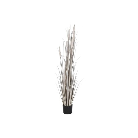 Pianta Decorativa DKD Home Decor Juncus (45 x 45 x 150 cm)