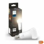 Lampadina Intelligente Philips Hue