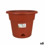 Vaso con Piatto Dem Greentime Marrone ø 45 x 36 cm (6 Unità)