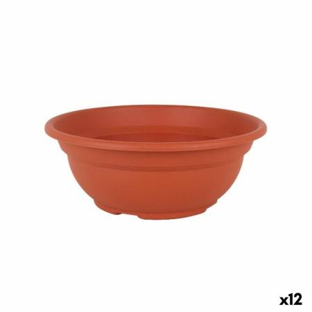 Vaso Dem Greentime Rotonda Ciotola Marrone ø 30 x 11,6 cm (12 Unità)