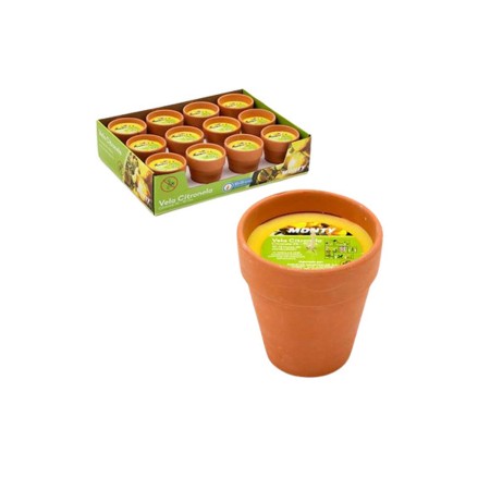 Candela Juinsa Terracotta 8 x 9 cm Vaso Citronella 12 Unità