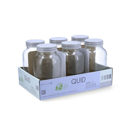 Vaso Quid Moss Grigio Vetro 1 L (Pack 6x)