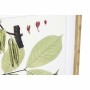 Quadro DKD Home Decor 50 x 2,8 x 70 cm Moderno Piante botaniche (6 Pezzi)