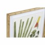 Quadro DKD Home Decor 50 x 2,8 x 70 cm Moderno Piante botaniche (6 Pezzi)