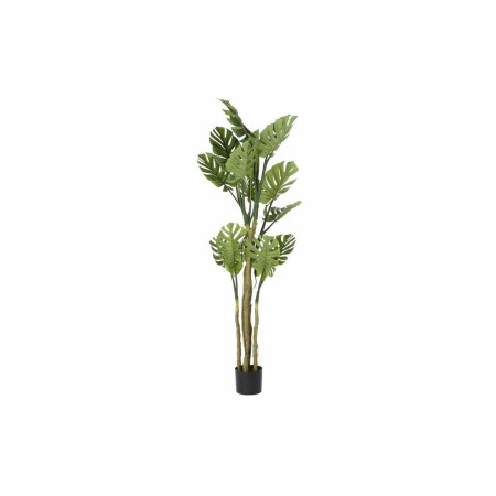 Albero DKD Home Decor Monstera 75 x 75 x 180 cm polipropilene