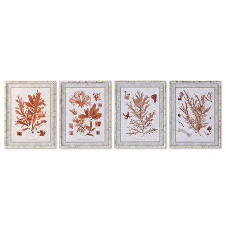 Quadro DKD Home Decor 50 x 2,8 x 65 cm Corallo (4 Pezzi)