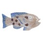 Statua Decorativa DKD Home Decor 40 x 5 x 18 cm Naturale Azzurro Pesce Mediterraneo