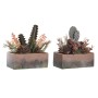 Pianta Decorativa DKD Home Decor 19 x 9 x 22 cm Rosa Arancio Cactus Gomma Eva polipropilene (2 Unità)