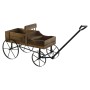 Carrello da Giardino DKD Home Decor 60 x 31 x 57 cm Abete Nero Metallo Marrone scuro Legno Riciclato Cottage