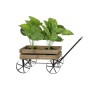 Carrello da Giardino DKD Home Decor 55 x 28,5 x 55 cm Abete Nero Metallo Marrone scuro Impianto Cottage