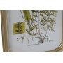 Quadro DKD Home Decor Moderno Piante botaniche 30 x 2 x 45 cm (9 Unità)