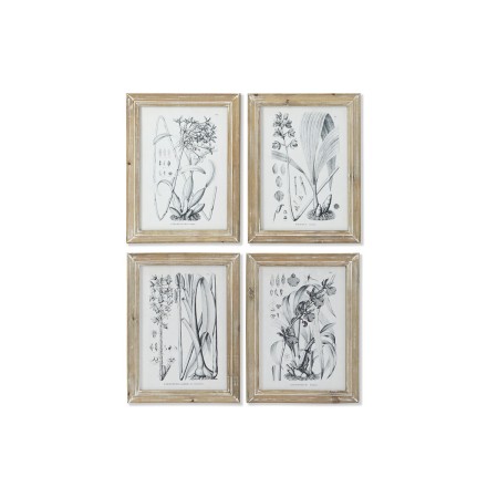 Quadro DKD Home Decor Moderno Piante botaniche 30 x 2 x 40 cm (4 Unità)